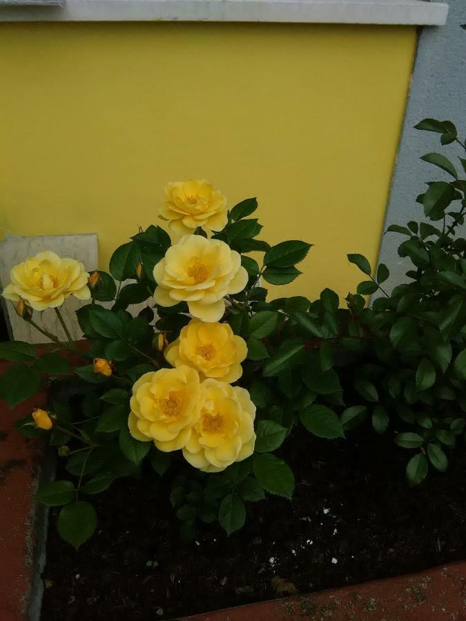 B&B Tisoi เบลลูโน ภายนอก รูปภาพ